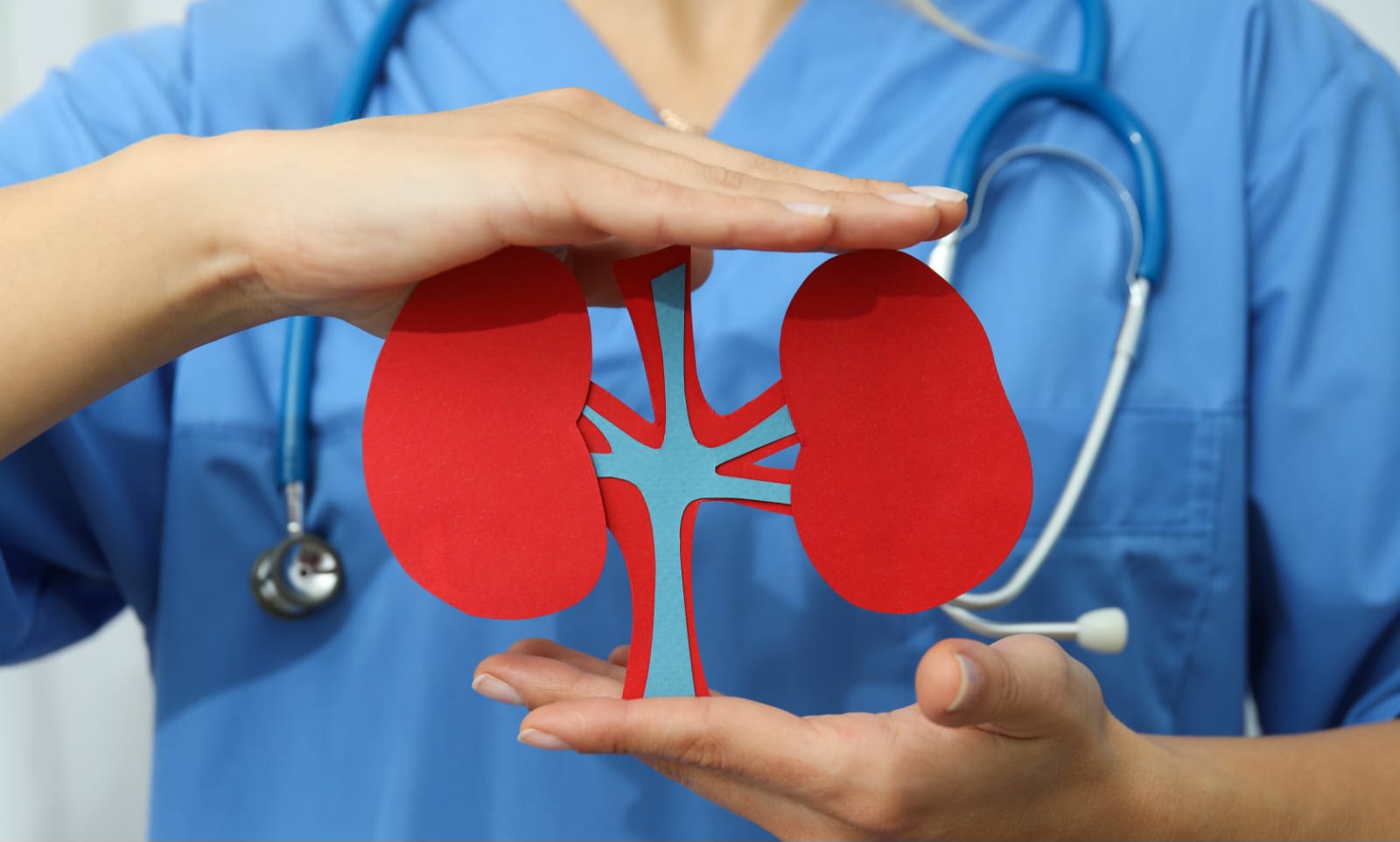 Sisalril registra cambio de vida de más de 200 personas con trasplante renal