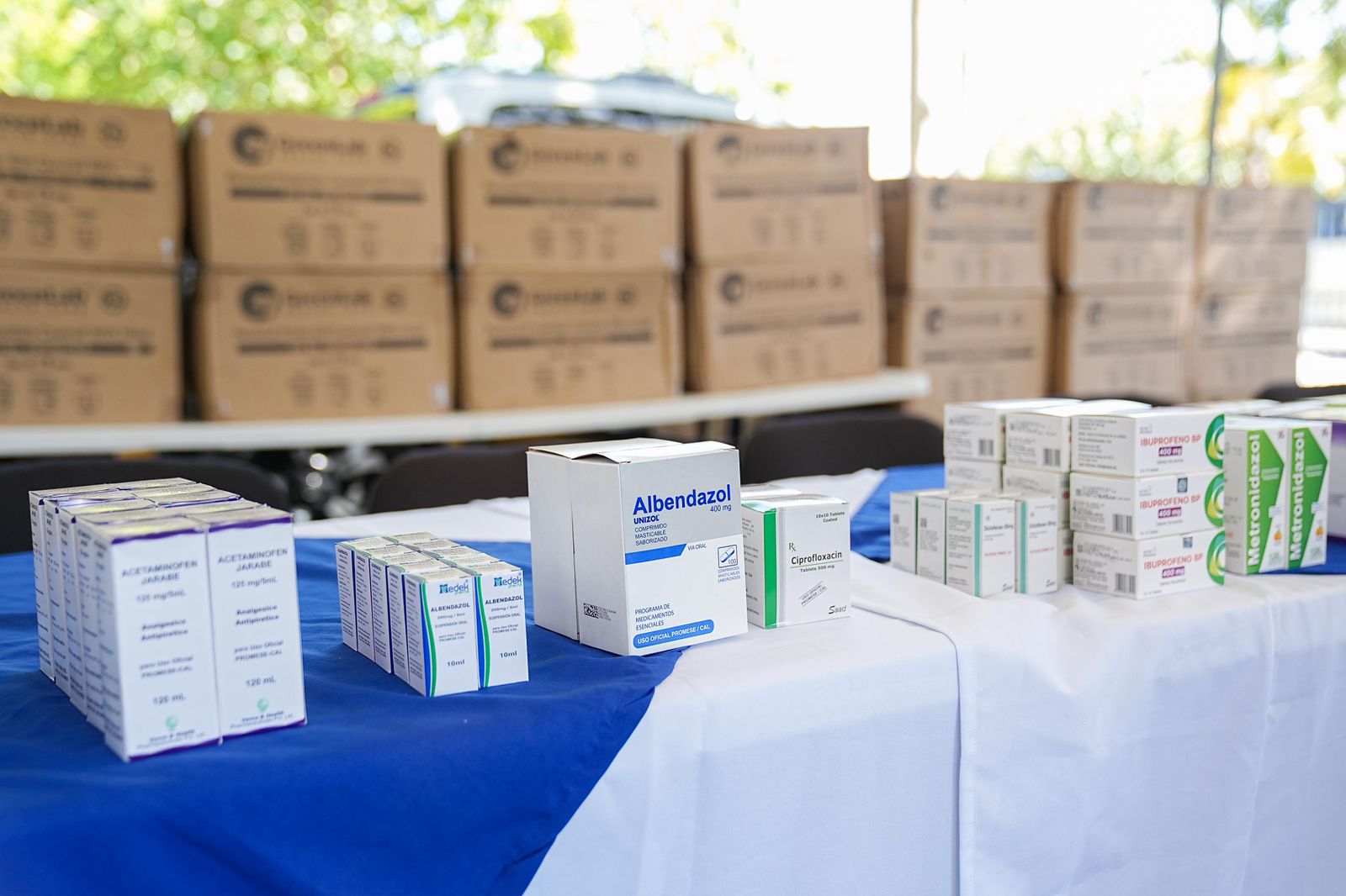 Promese/cal entrega medicamentos a provincias del Sur declaradas en estado emergencia