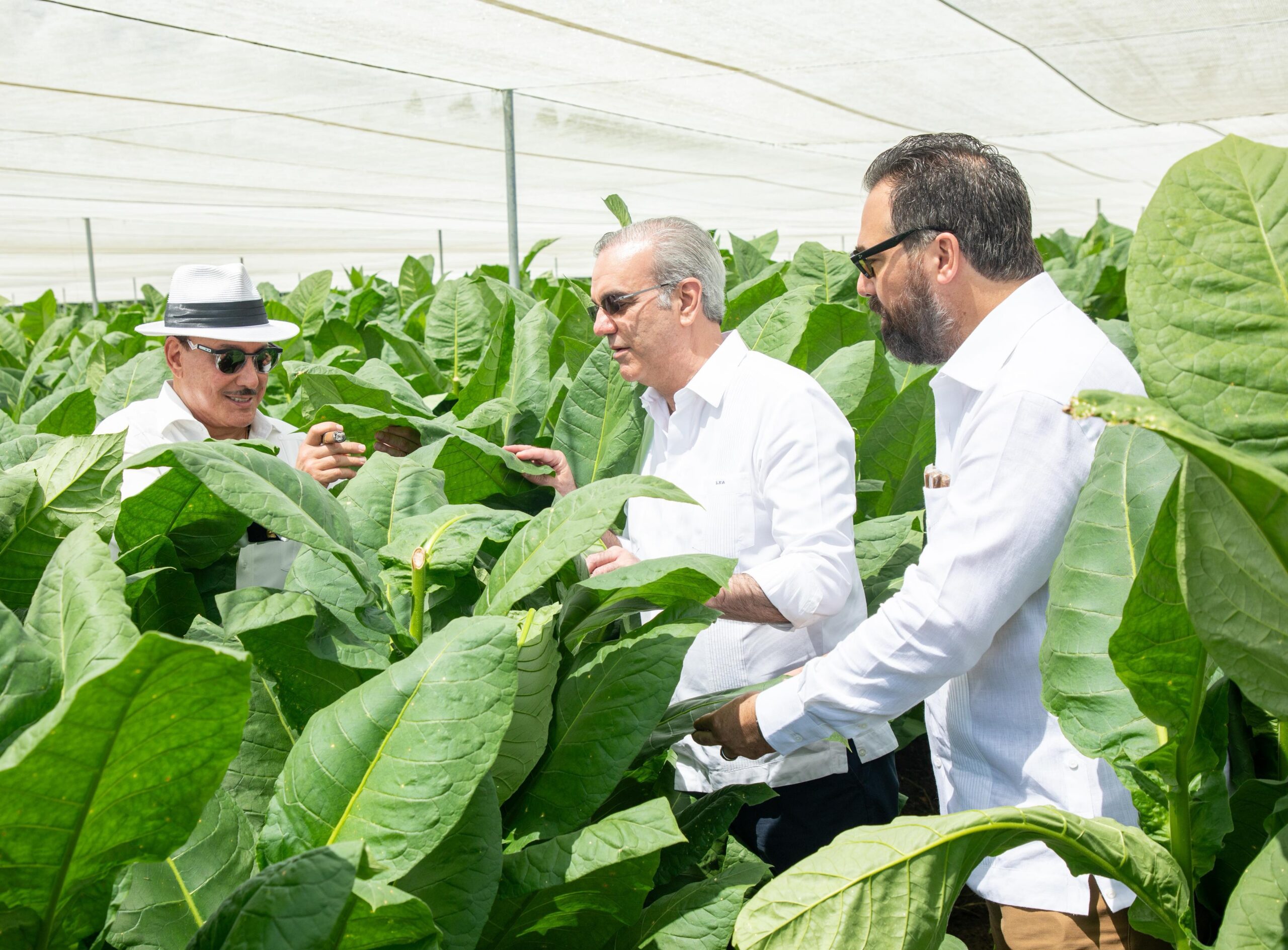 Abinader visita finca tabacalera “La Milagrosa” en Monte Plata