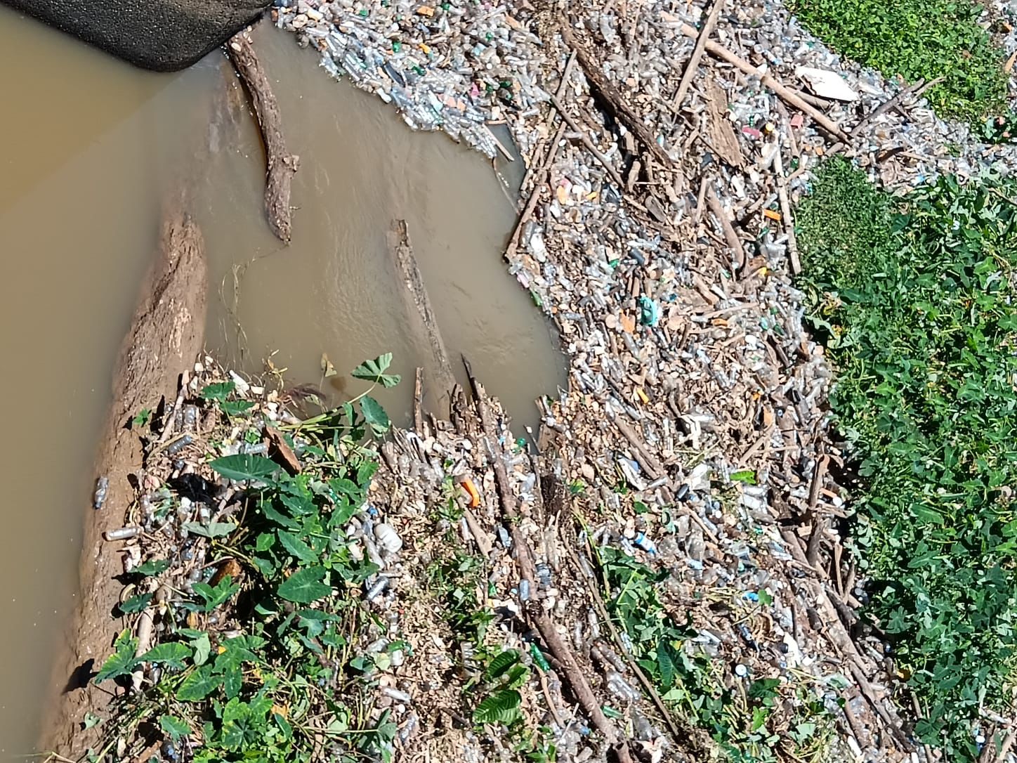 Toneladas de desechos obligan sacar de servicio acueducto Barrera de Salinidad