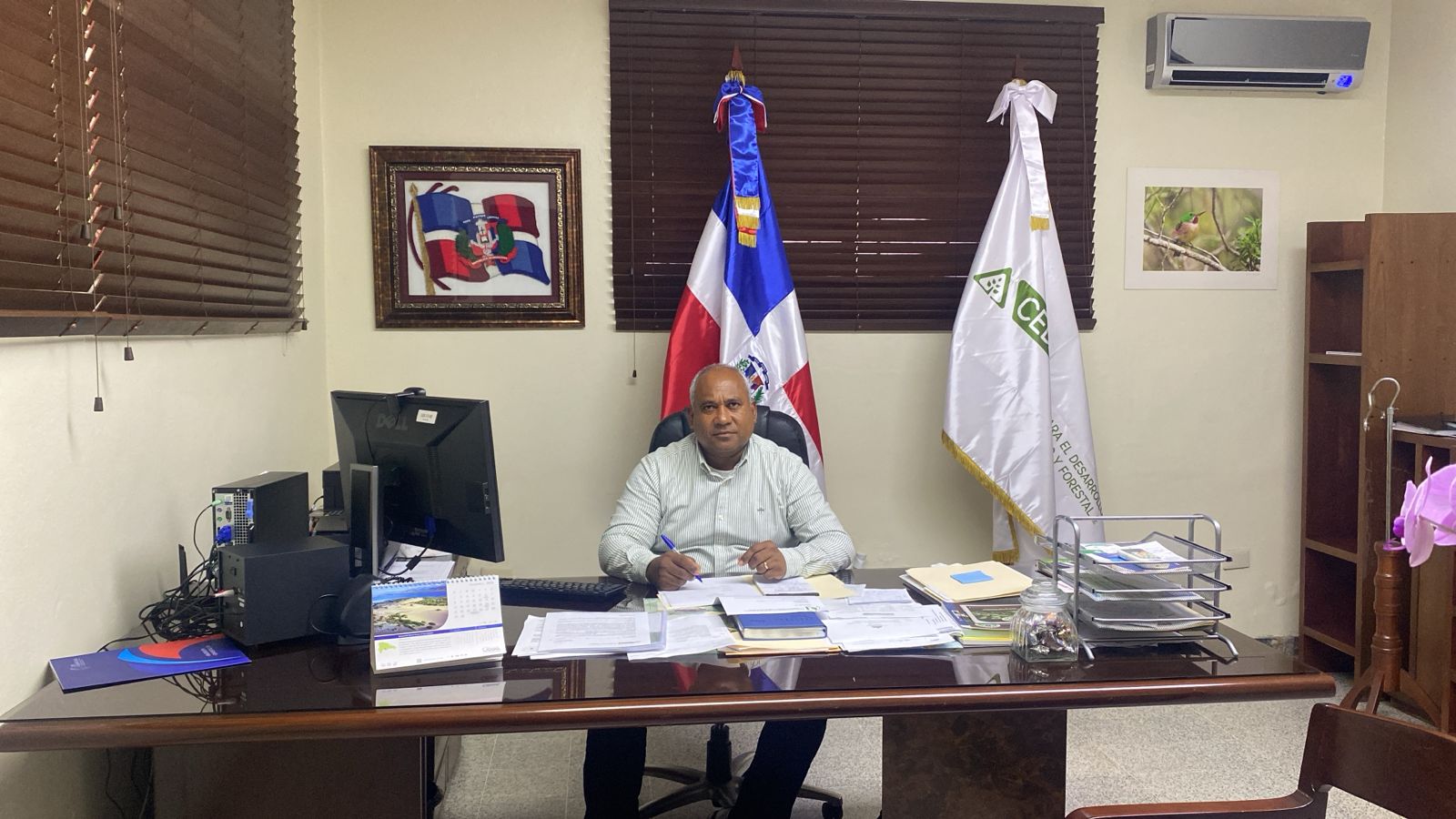 Cedaf recomienda mejorar manejo técnico arbolado urbano