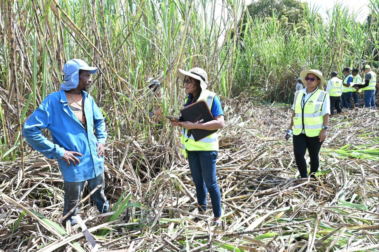 RD labora para erradicar Trabajo Infantil