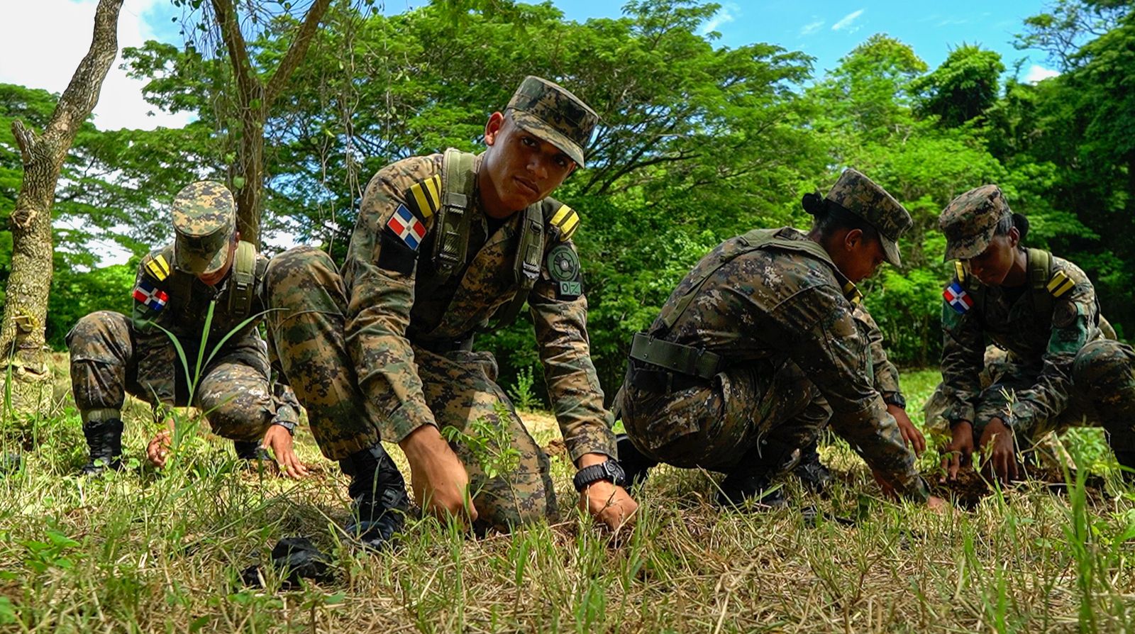 Fuerzas Armadas siembra más de 100 mil árboles por Día Nacional del Árbol