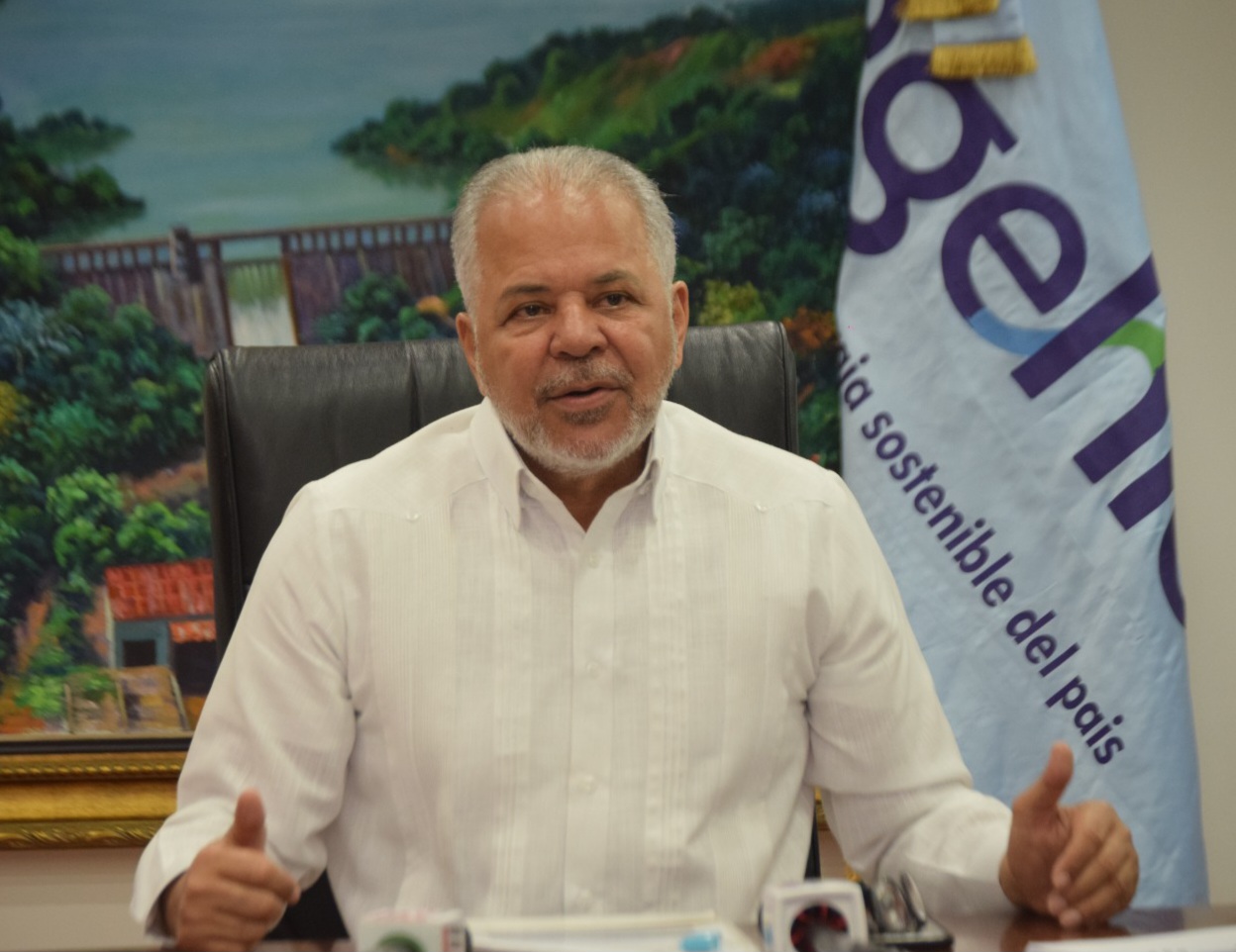 Administrador Egehid dice trabaja para incorporar mil megavatios