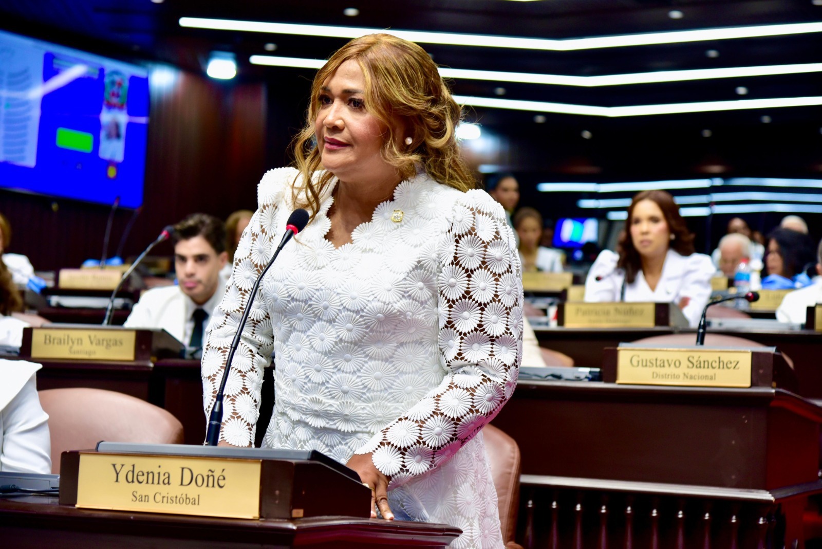 PLD juramenta nueva vocera en la Cámara Diputados