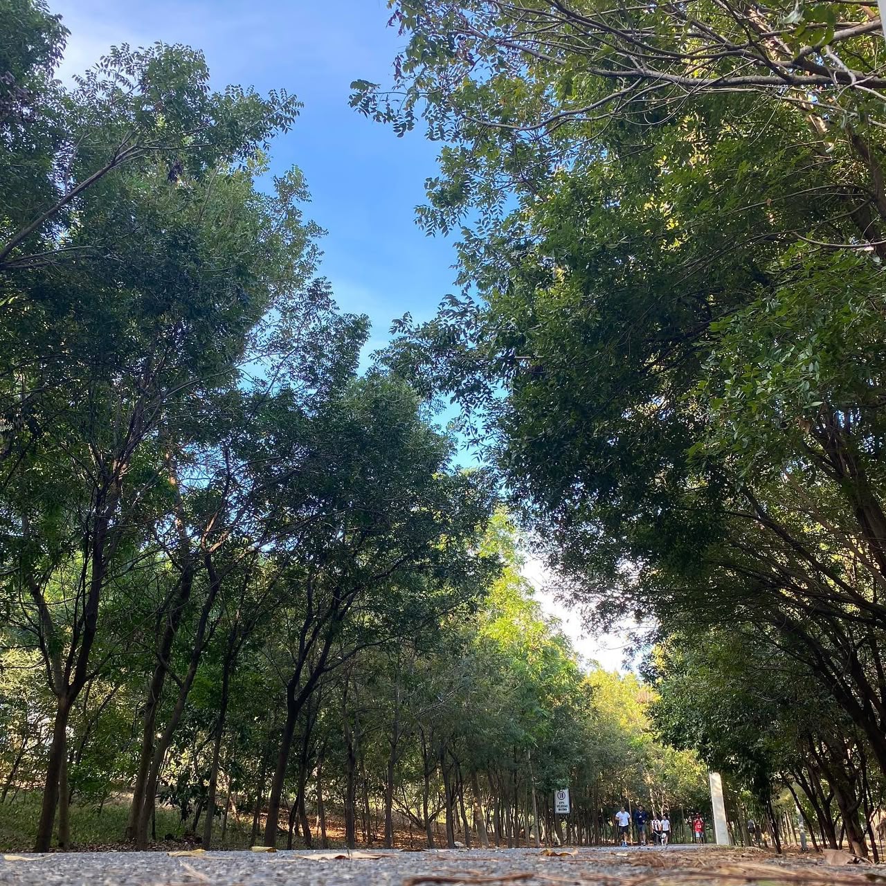 Miderec reabre Parque del Este y Centro Olímpico tras los juegos